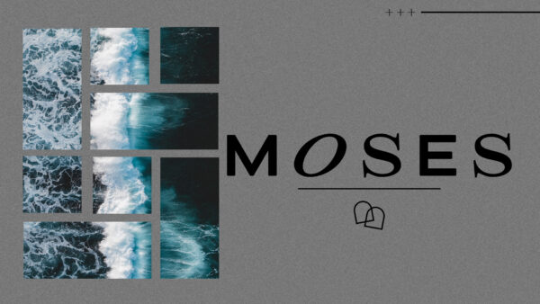 Moses - Week 5 Image